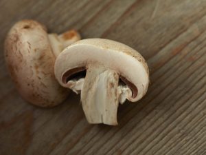MushroomCollection_Social1